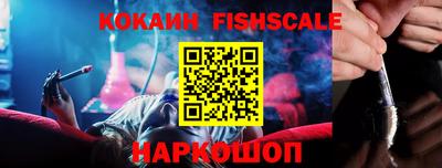 крисы Камышлов