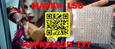 крисы Камышлов