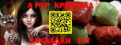 крисы Камышлов