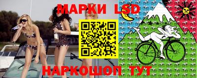 крисы Камышлов