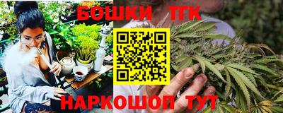 крисы Камышлов