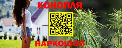 крисы Камышлов