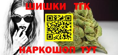 крисы Камышлов