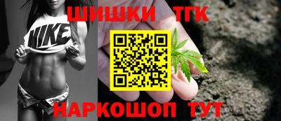 крисы Камышлов