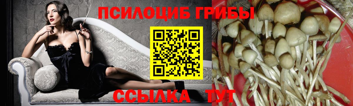 Волхов  Галлюциногенные грибы мицелий  Вход с VPN 